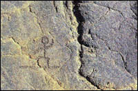 Hawaiian petroglyphs can be found at various points along the coast.