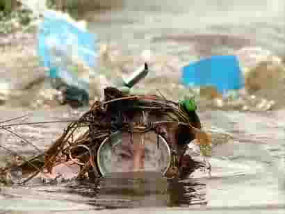 A competitor takes part in the 2005 Bog Snorkelling Championship in Llanwrtyd Wells in mid-Wales /Empics